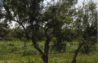 La Familia Luxury Private Maisonettes near the sea - Foto 29