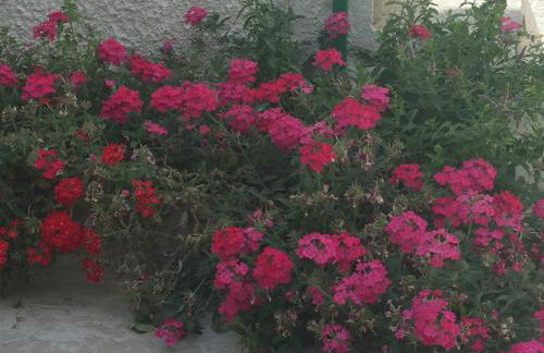 Casa sul Mare - WIFI free - parcheggio privato - Foto 50