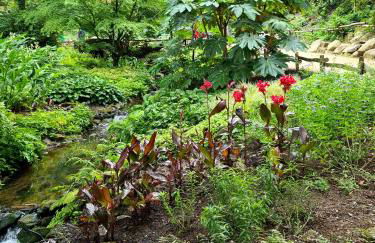 Jolie Studio Le Pavachon à 3 min du Puy du Fou Les Epesses - Foto 32