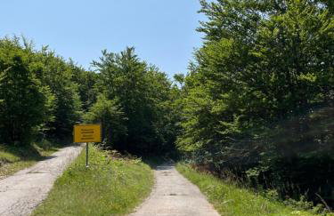 PLANINSKI MIR Rukavine - Foto 41