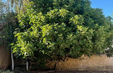 Le Clocher du Layon - Photo 10