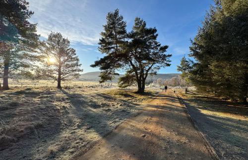 Cosy Highland Cottage in the Woods on Royal Deeside - Foto 11