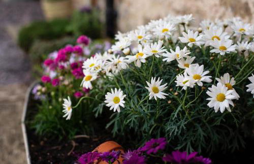 Rivington Barn - Foto 14