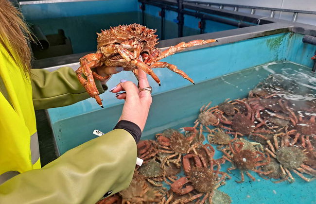 Visite du port de Vigo + Visite d'un vivier à crustacés - Photo 6