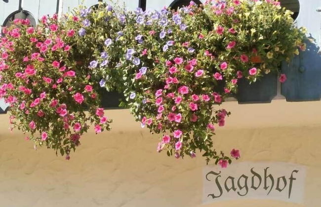 Apparthotel Jagdhof - Foto 46