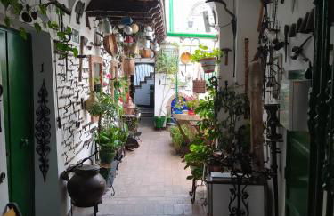 Casa Museo Jerez Centro - Foto 13