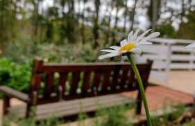 RIFUGIO DEL TRAMONTO - Foto 17