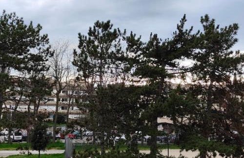 appartement 3 chambres avec balcon et parking - Foto 9