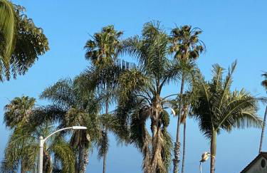 Tide Pool Villas - Foto 34