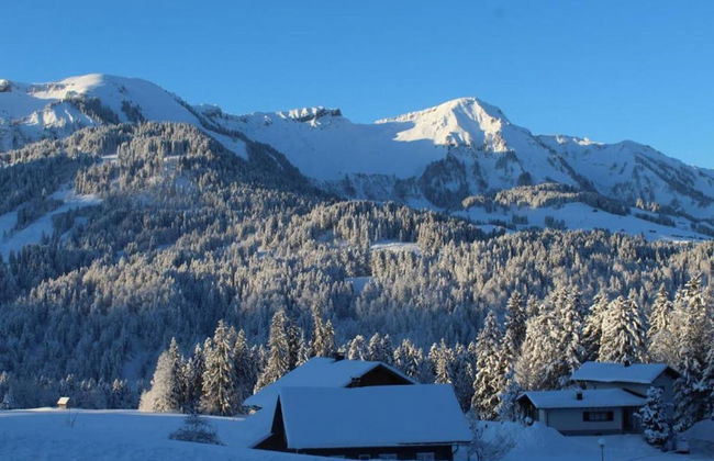 Dog-friendly Chalet in Bregenzerwald - Photo 39