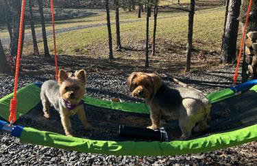 The Knotty Pine Cabin at Cabins of Wolf Pen Gap - Foto 21