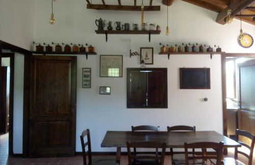 L'Albero degli Struzzi - Foto 15