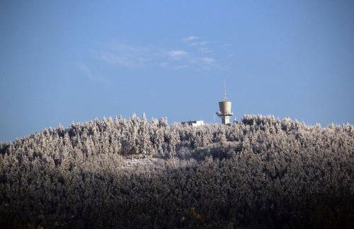 Ferienwohnung Waldstraße - Foto 31