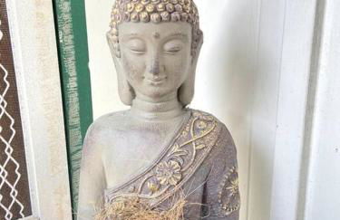 THE HILO HOMEBASE - Charming 3 Bedroom Hilo Home, with AC! - Foto 33