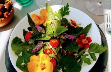 Aegean Garden Apartment - Foto 6