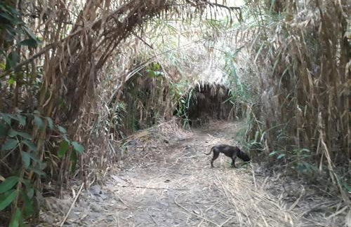 Stone and Sea - Foto 26