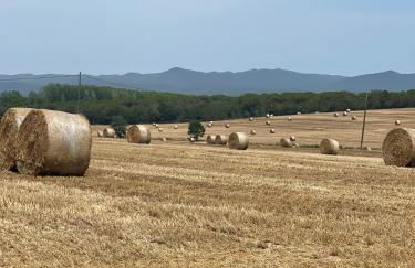 Mas Gelabertó - Foto 16