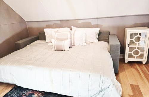 Charming Downtown Apartment in Victorian Home with Mountain Views - Foto 21