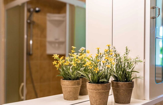 Apartments and Room Frane- Standard Studio With Terrace - Photo 13