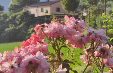 Il Casaletto di Simonetta - Foto 3