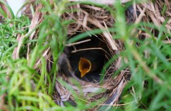 Casa Rural Felipe Luis - Foto 53