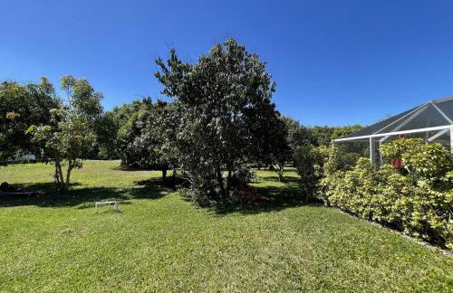 Turtle Bae Resort - Foto 8