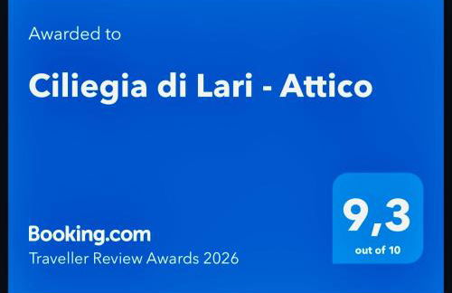 Ciliegia di Lari - Attico - Foto 2