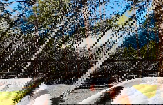 Las Morenas - Tres Lunas Domo - Foto 31