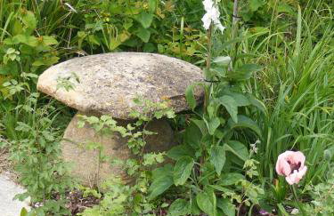 Shave Farm - Foto 21