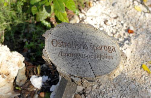 The House Aunt Regina - Foto 67