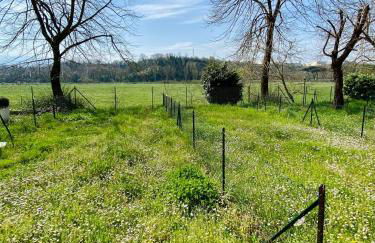 Emerald Apartment - Foto 23