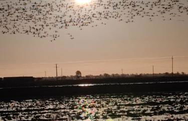 Lo Montsia - Foto 35