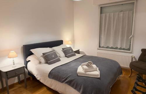 Appartement CITY CENTER-SALLANCHES - Foto 1