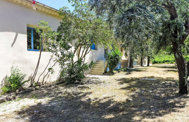 Les Vendanges - Foto 33