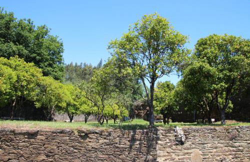 Tapada De Sao Domingos - Foto 10