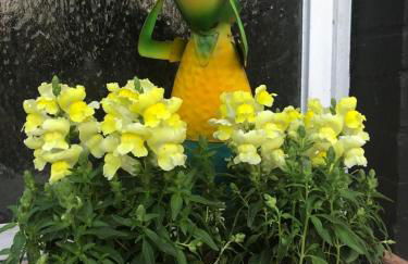 Ferienwohnung Weserberglandblick - Foto 44