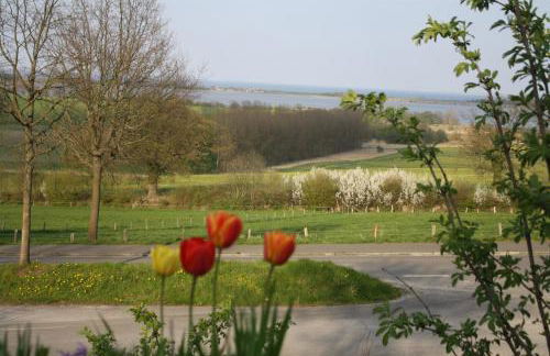 Reethus Stöfs - Foto 35