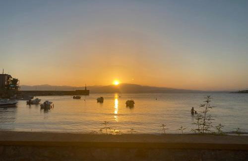 Myrtilo Waterline 2 (Orange) - Foto 19