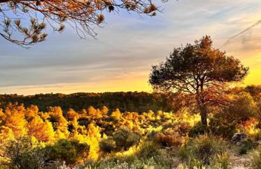 Alcarria , Casa del Agua - Foto 14