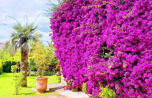 Les deux mas - Foto 1