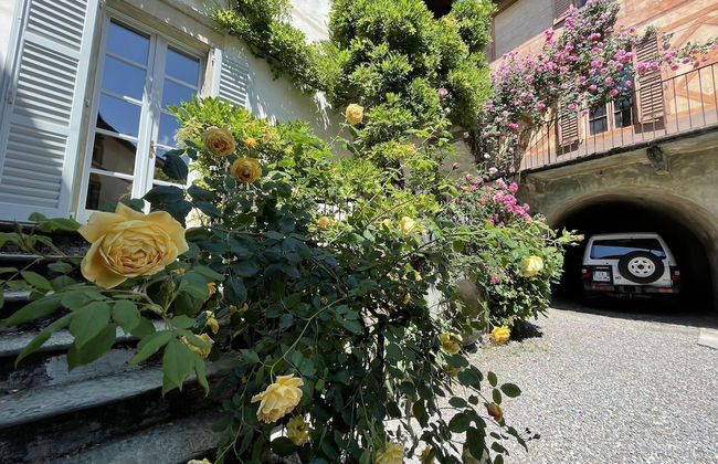 Roseto del Drago - Foto 35