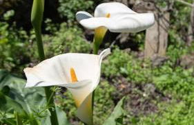 Casa el Monte - Foto 14