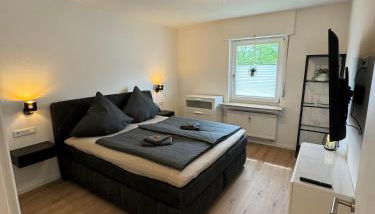 Direkt am See Winterberg Elkeringhausen - Foto 3