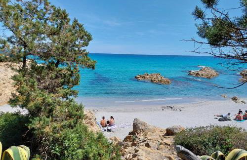 lamarzellina - Foto 6