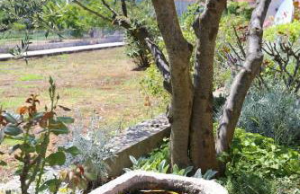 Apartments by the sea Ston, Peljesac - 10226 - Foto 10