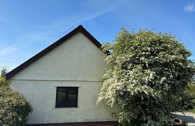 Detached 3 Bed Cottage, Mountain Views- Pets, Wifi - Photo 29