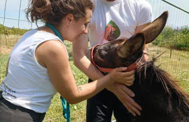 B&B Naturin - Vegan Eco Farm - Photo 3