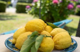 Casa vacanze Gelsomino - Foto 5