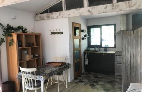 LA BRINDILLE Petit mas provencal meublé de tourisme 3 étoiles 2-3 personnes 1 piece 30 m2 tout confort lisière foret jardin Jacuzzi Piscine - Foto 10