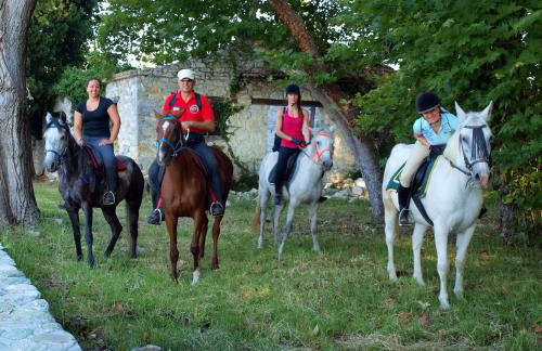 Vergonis Studios - Photo 52